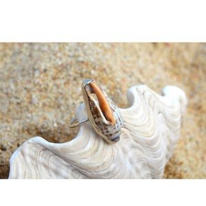 Seashell ring